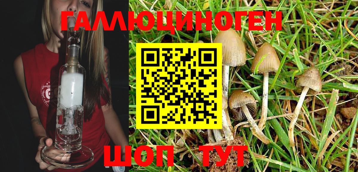 Псилоцибиновые грибы мицелий Ухта