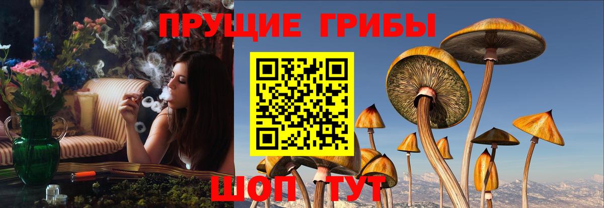 Псилоцибиновые грибы ЛСД  Вход с VPN  магазин продажи   Ухта 